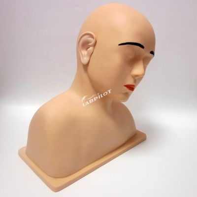 人間の生体サイズ 鮮明な耳モデル 耳灌流訓練シミュレーターの究極のツール