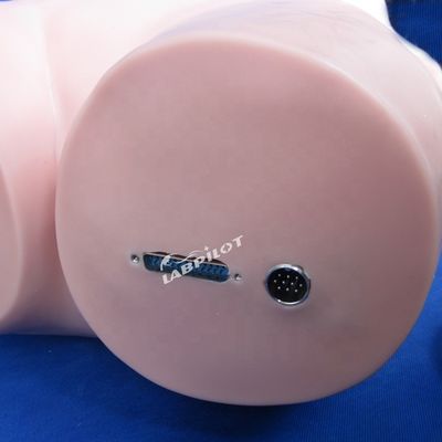 看護教育と現実的な人間のシミュレーションのための腹腔パルパーションシミュレーター