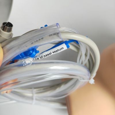 患者のケアデモのための明晰な頭と首モデル鼻出血シミュレーター