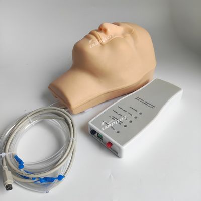 患者のケアデモのための明晰な頭と首モデル鼻出血シミュレーター