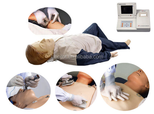 全面的な緊急訓練のためのマニキン CPR インチュベーション 動脈停止 静脈注射