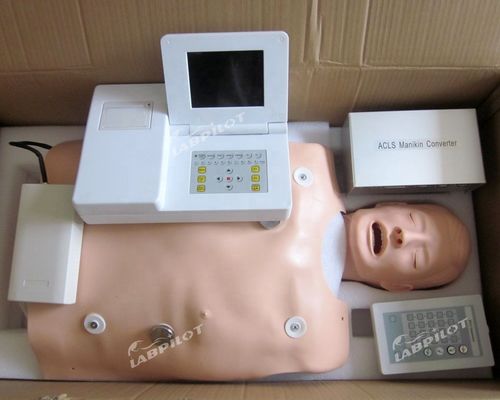 医療訓練のためのPVCマニキン ACLSとIV直管モデルのカテゴリー