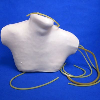 中心静脈切断と管管教育のための高度なPVC CVCトレーニングシミュレーター