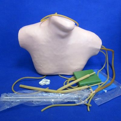 中心静脈切断と管管教育のための高度なPVC CVCトレーニングシミュレーター