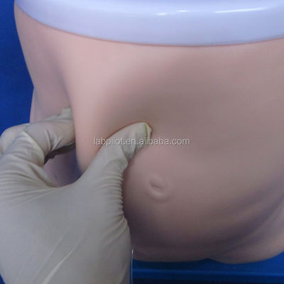 腹膜透析の教学モデル 臨床看護の訓練とパフォーマンスツール