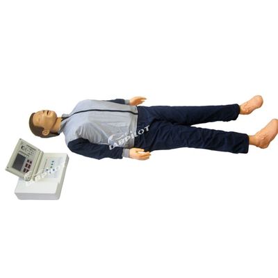 リアルな人形 大型LCD再生教育モデル 大人のCPR訓練