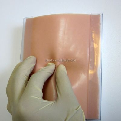 医療訓練ツール 筋肉切開手術のためのシミュレーションされた皮膚縫合モジュール