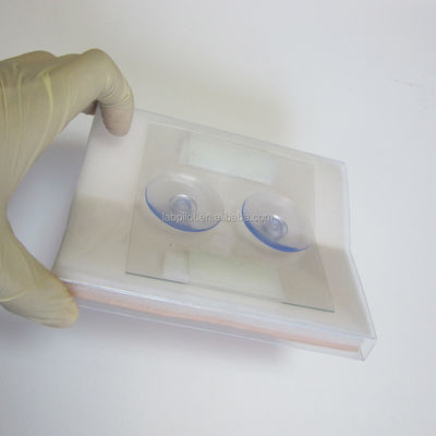 医療訓練ツール 筋肉切開手術のためのシミュレーションされた皮膚縫合モジュール