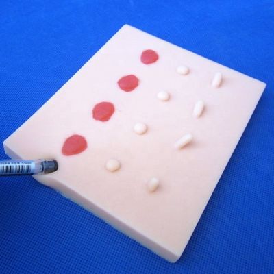 鮮明な病理性皮膚疾患 病変 医療教育用の縫合パッドモデル