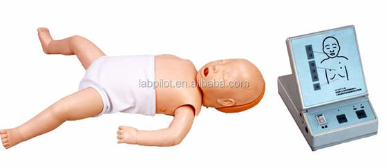 乳児 の CPR マニキン は 進行 的 な 心臓 再生 訓練 に 必要 です