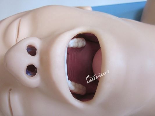 病院における呼吸道管理とクリコイドパンクションのための多目的ヒトシミュレーター