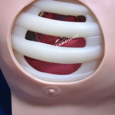 介護の訓練のための高度なPVCマニキン