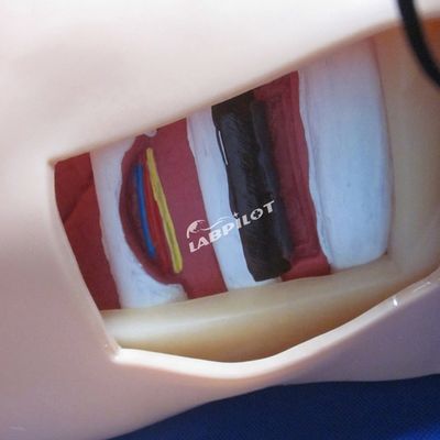 介護の訓練のための高度なPVCマニキン