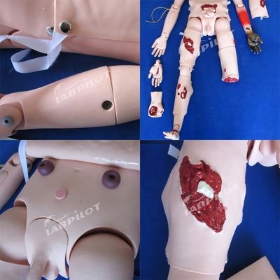 総合的な看護人形 トラウマケアと傷治療 人間の生体サイズ