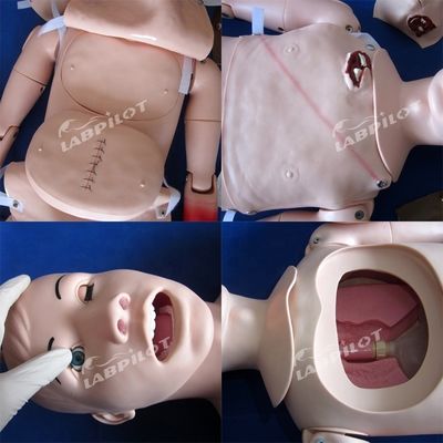 総合的な看護人形 トラウマケアと傷治療 人間の生体サイズ