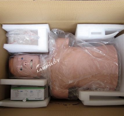 大人の半身CPRと直管訓練のためのプロの人体サイズのマニキン