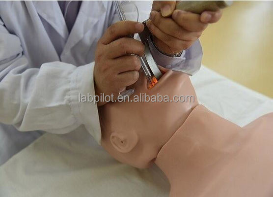 2対1のCPR と トラケアル 管管化 人形 で 緊急 対応 の 技能 を 向上 さ せる