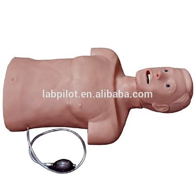 2対1のCPR と トラケアル 管管化 人形 で 緊急 対応 の 技能 を 向上 さ せる
