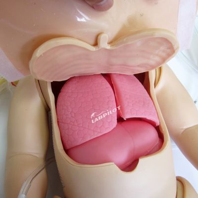 全機能の小児CPRと乳幼児看護シミュレーションのための高度なPVCマニキン