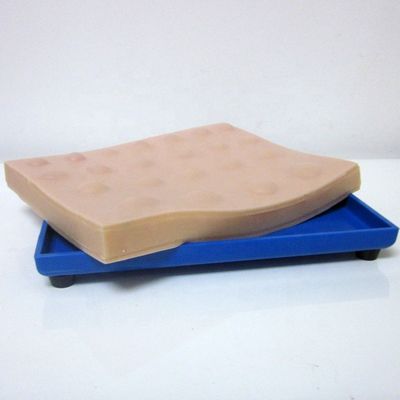 手術 皮膚 モデル 腹腔 切開 排水 手術 皮膚 モデル 腹腔 切開 排水 手術 腹腔 切開
