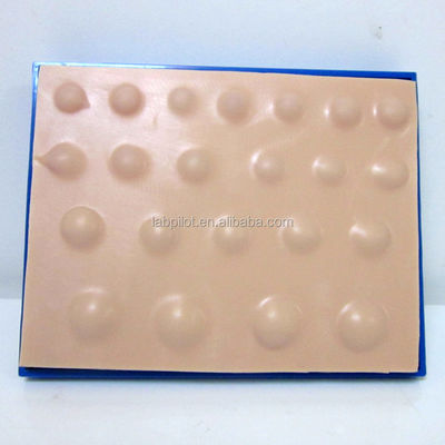 手術 皮膚 モデル 腹腔 切開 排水 手術 皮膚 モデル 腹腔 切開 排水 手術 腹腔 切開
