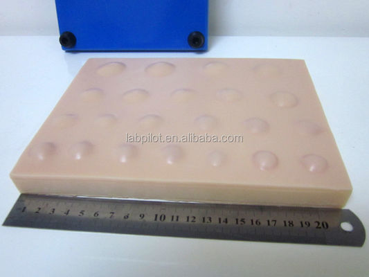 手術 皮膚 モデル 腹腔 切開 排水 手術 皮膚 モデル 腹腔 切開 排水 手術 腹腔 切開