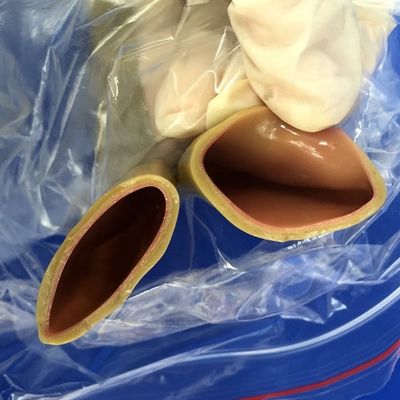 腸内アナストモシスの手術技能訓練モデル 現実的なヒトシミュレーション