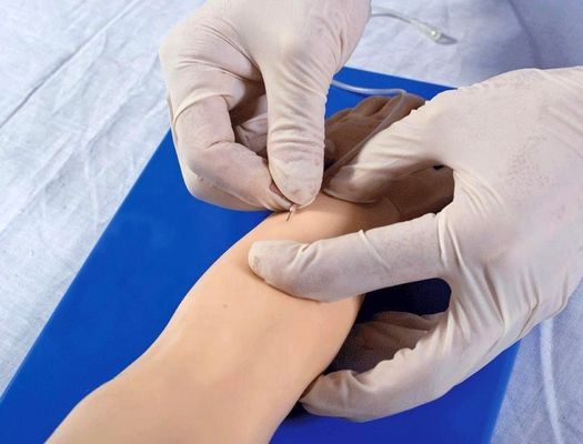 患者のための先端小児静脈切除 手腕 患者のケア デモンストレーション 人間の生命体サイズ