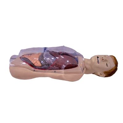 病院 診療所 大学 看護師 学校 人間 生命 サイズ セングスタケン-ブレイケモア NG チューブ 看護訓練シミュレーター