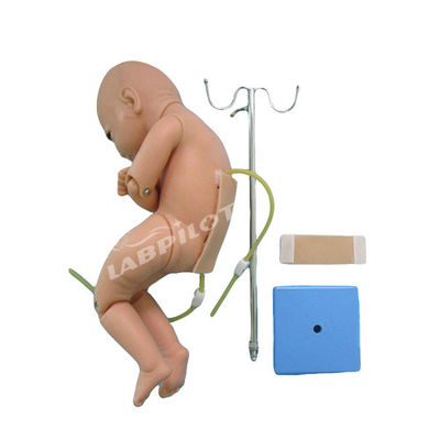 医学 乳児 腰穴 麻酔 訓練シミュレーター マニキン