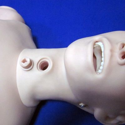 医療科学 基礎型 女性看護 マニキン 訓練シミュレーター