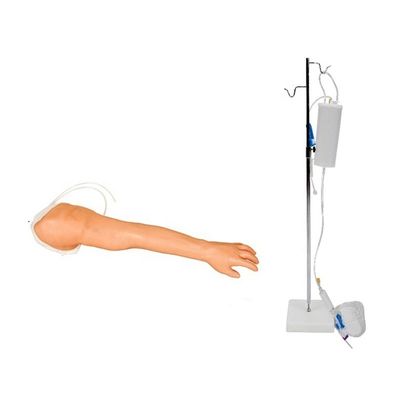 医療従事者向けの現実的な静脈切開と注射訓練腕モデル