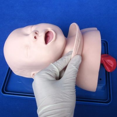医療科学訓練モデル 新生児 トラヘア 管込み 頭と肩 幻