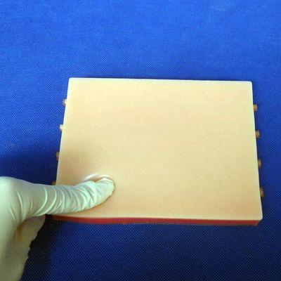 IV 注射訓練 デモンストレーション 鮮明な皮膚モデルを持つ医学教育シミュレーター