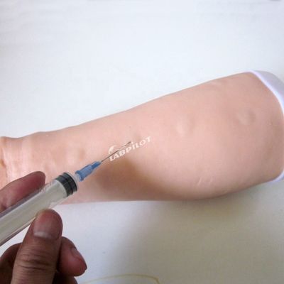 皮膚検査練習シミュレーター 人間の生命体サイズ 皮膚内注射 訓練腕モデル