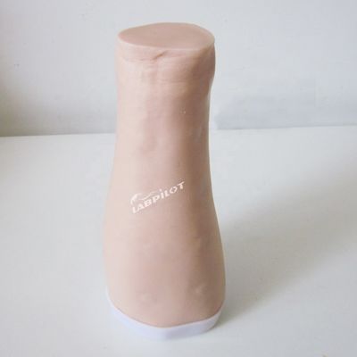 皮膚検査練習シミュレーター 人間の生命体サイズ 皮膚内注射 訓練腕モデル