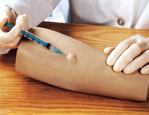 皮膚検査練習シミュレーター 人間の生命体サイズ 皮膚内注射 訓練腕モデル