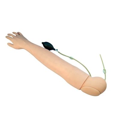 医学教育シミュレーター 血液採取と注入の練習のための人間の生命サイズ腕