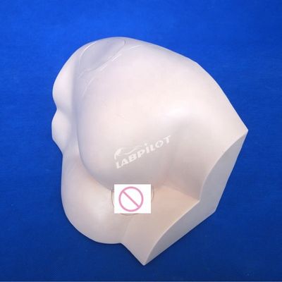 医療科学科目のための高度なPVC 筋肉内注射教学シミュレーター