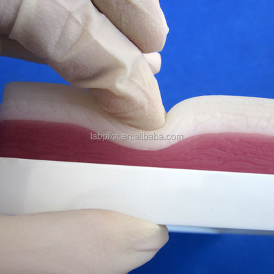 マニキン 人間の生活サイズ 皮膚脂肪と筋肉トレーニングモデルのための3層縫合練習パッド