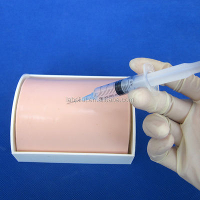 カテゴリー 教育用マニュケイン 介護学校のための鮮明な皮膚注射練習パッド