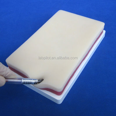 マニキン 人間の生活サイズ 皮膚脂肪と筋肉トレーニングモデルのための3層縫合練習パッド