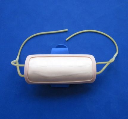先進的なPVC前腕静脈切断訓練パッド IV医学科学のための注射パッド