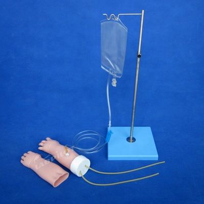 医学科 移植型静脈切除訓練 交換可能な皮膚の腕モデル