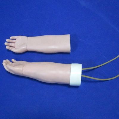 医学科 移植型静脈切除訓練 交換可能な皮膚の腕モデル