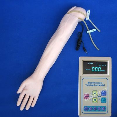 動脈血圧測定 訓練 腕 モデル カテゴリー 教育マニュケイン