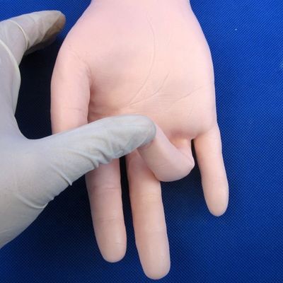 動脈血圧測定 訓練 腕 モデル カテゴリー 教育マニュケイン