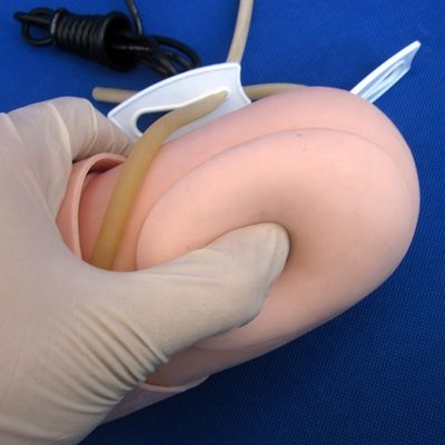 動脈血圧測定 訓練 腕 モデル カテゴリー 教育マニュケイン