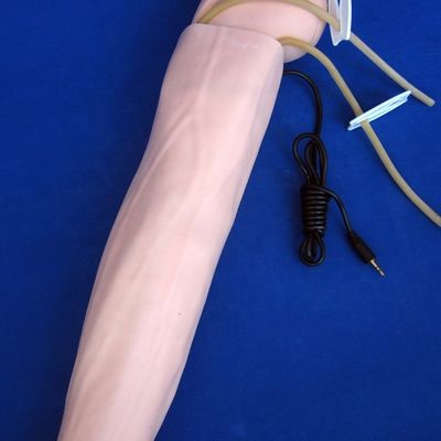 動脈血圧測定 訓練 腕 モデル カテゴリー 教育マニュケイン