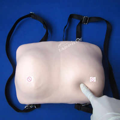 乳房 自己 検査 訓練 マニキン 婦人科 治療 の 現実 的 な 皮膚 モデル